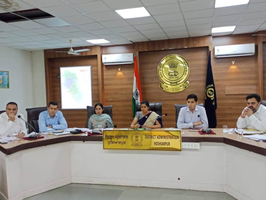 Deputy Commissioner Ashika Jain reviewed the progress of the works of various departments
